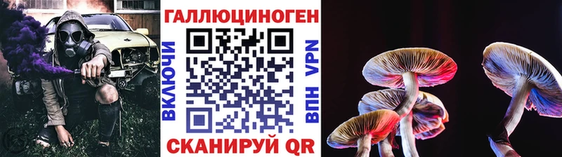 Галлюциногенные грибы ЛСД Чудово